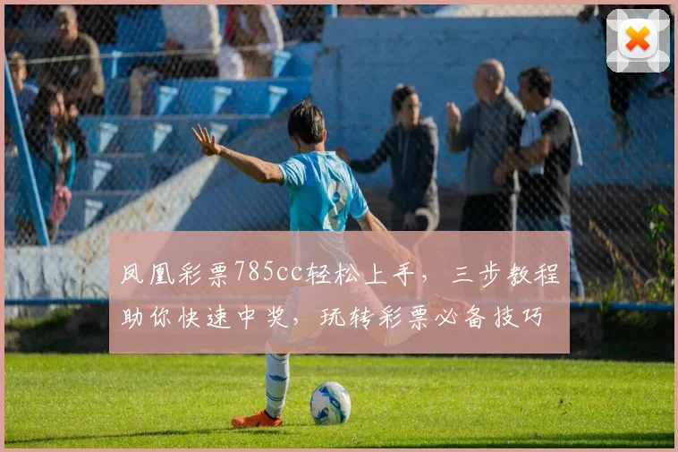 凤凰彩票785cc轻松上手，三步教程助你快速中奖，玩转彩票必备技巧，三大优势，不容错过