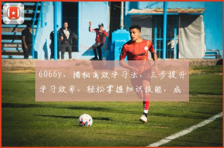 6066y，揭秘高效学习法，三步提升学习效率，轻松掌握知识技能，成就卓越人生