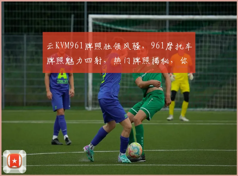 云KVM961牌照独领风骚，961摩托车牌照魅力四射，热门牌照揭秘，你不可错过的焦点